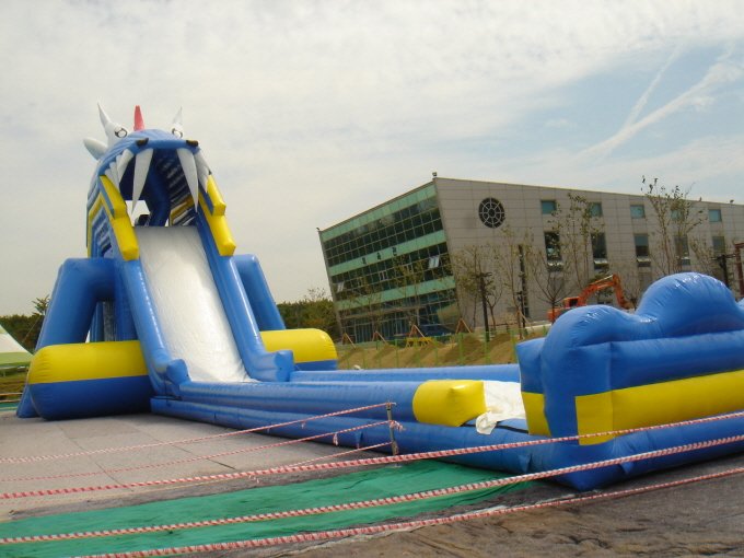 Best Inflatable Water Slide for Kids XZ-WS-010