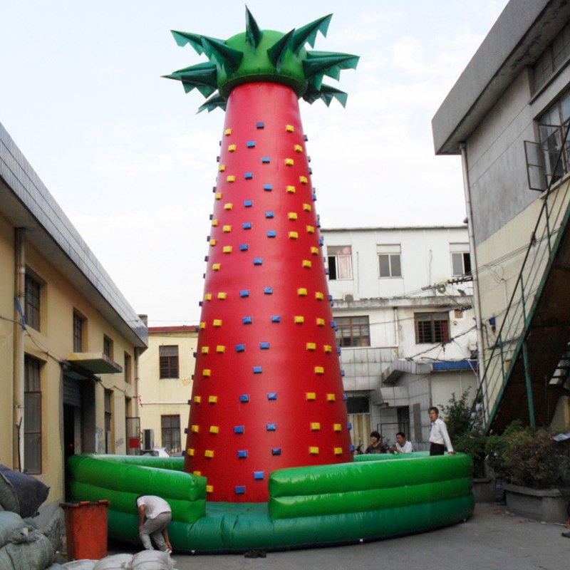 Climbing Mountain Inflatable XZ–BH-006